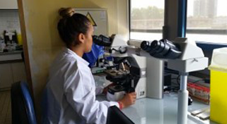 Anatomie-et-cytologique-pathologique