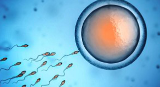 CECOS-Centre-d’Études-et-de-Conservation-des-Œufs-et-du-Sperme