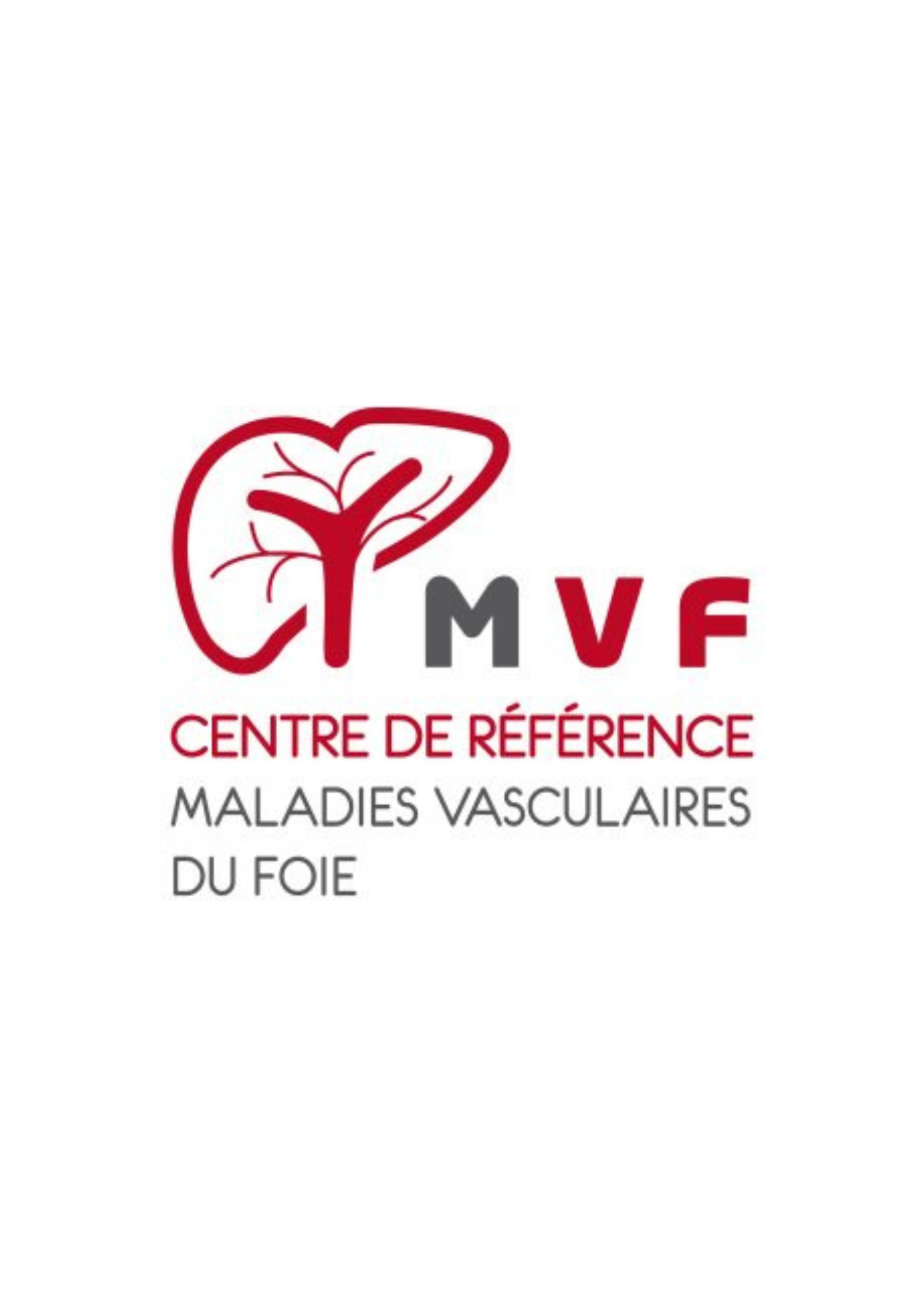 Logo_CRMR_MVF