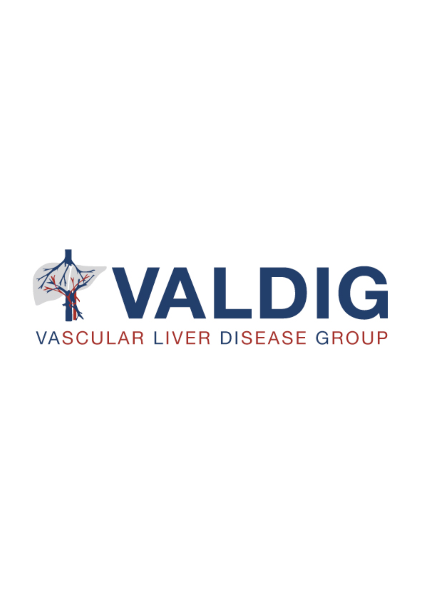 Logo_VALDIG